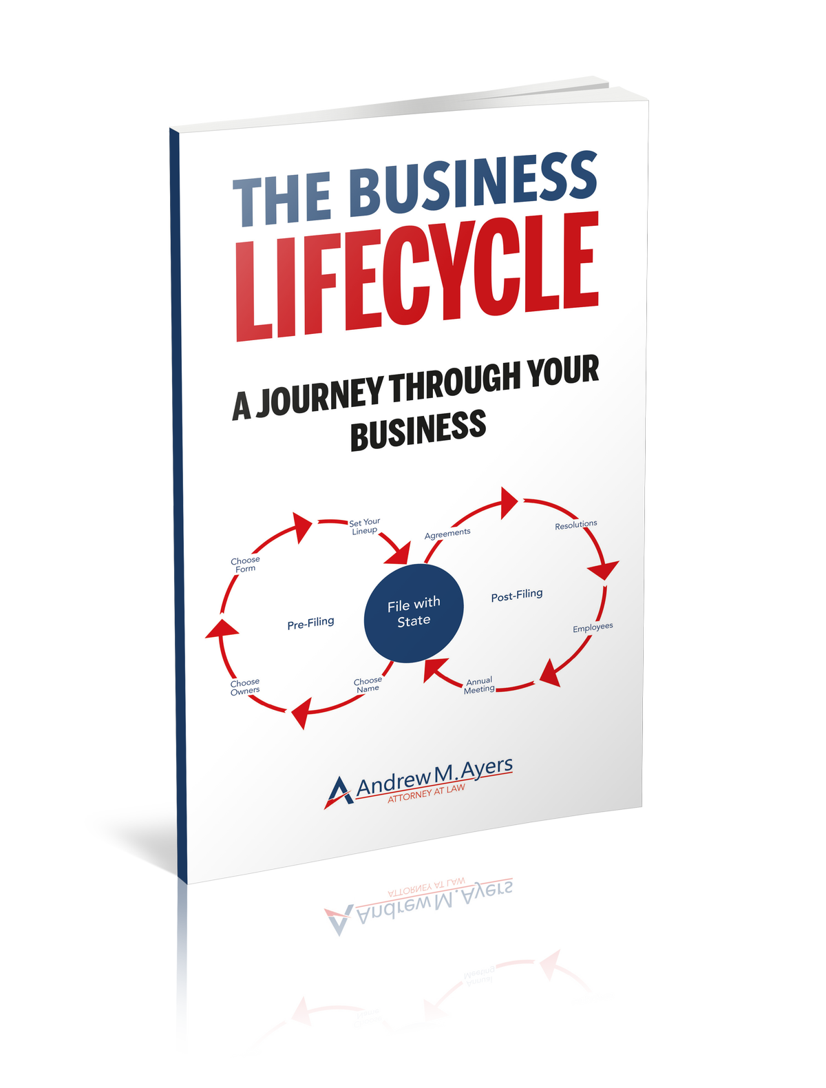 The Business Lifecycle: A Journey Through Your Business